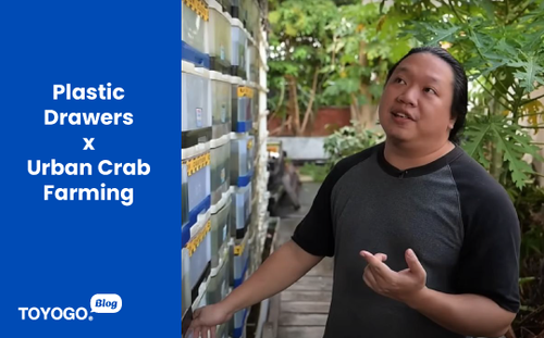 Image 69: How TOYOGO Plastic Drawers are used in Urban Crab Farming