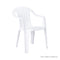 POLTRONA ARM CHAIR (160)