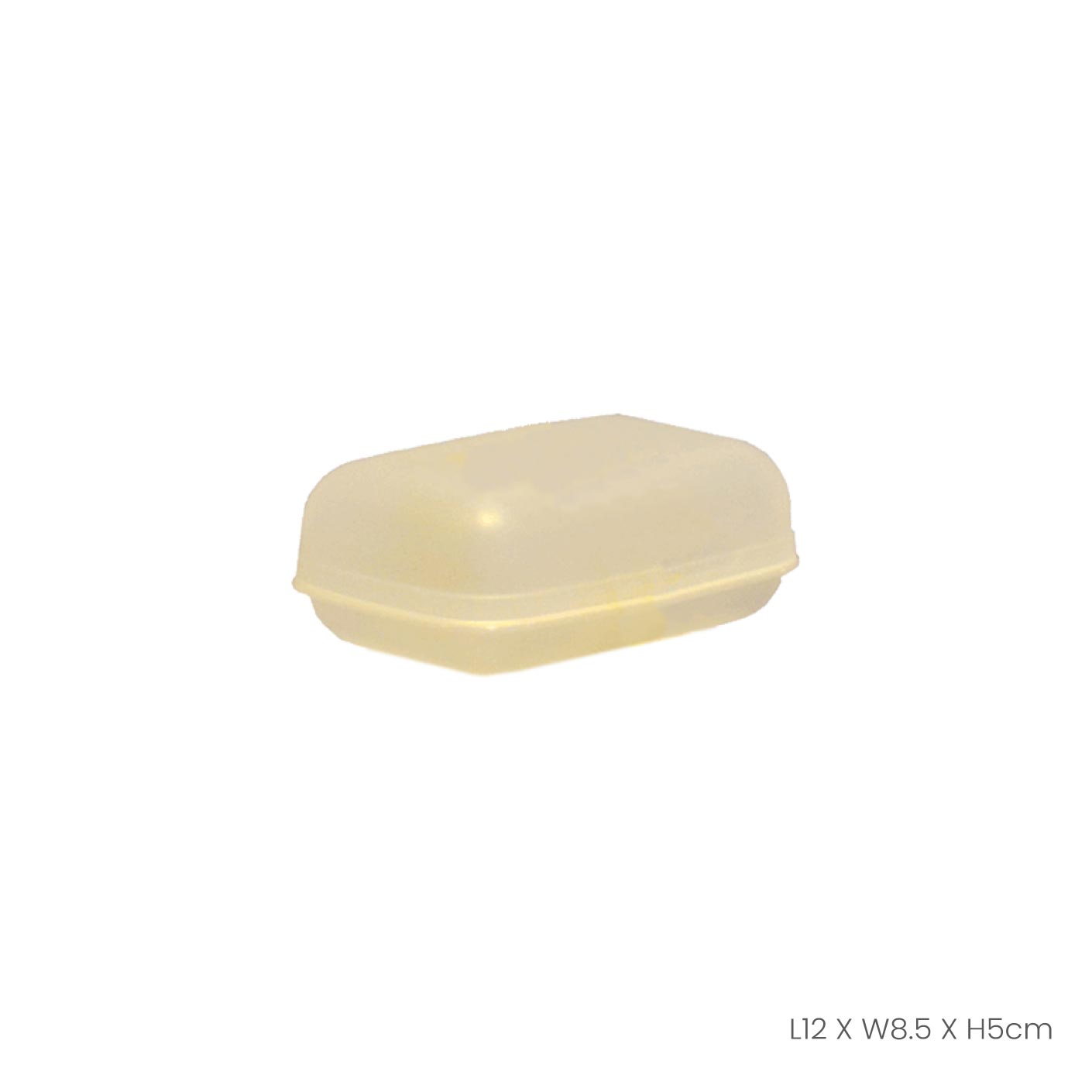 SAPONIERA 1S SOAP BOX (203)