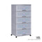 5 TIER WIBBY CABINET W/WHEELS (609-5)