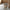 MOTON MOPPING PAIL W/WHEELS (7005)