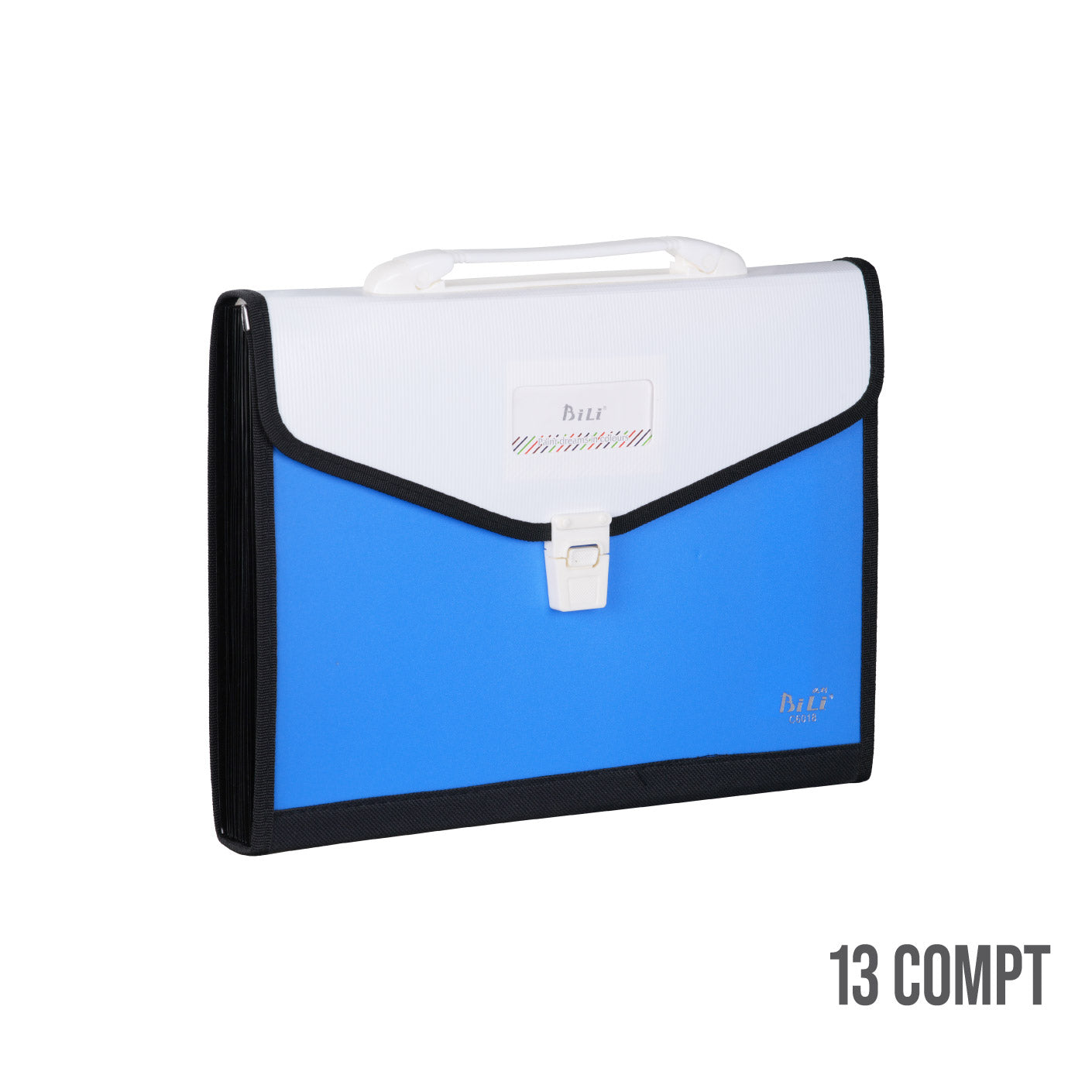 HANDY EXPANDING FILE 13P C6018 (HFH4515)