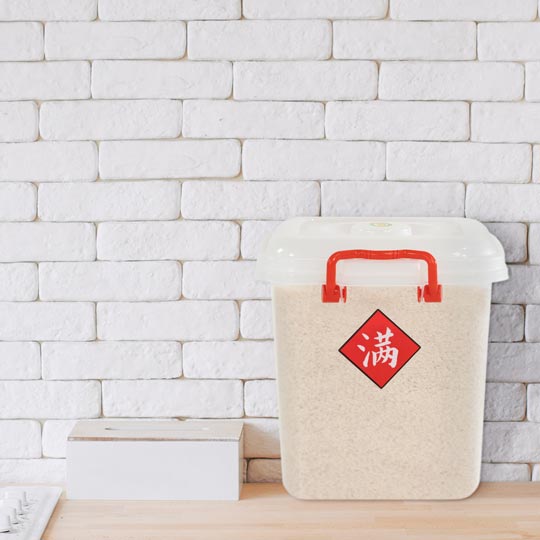 RICE CONTAINER (S) (815)