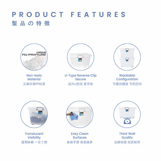 SCATOLA BOX - XL (8806)