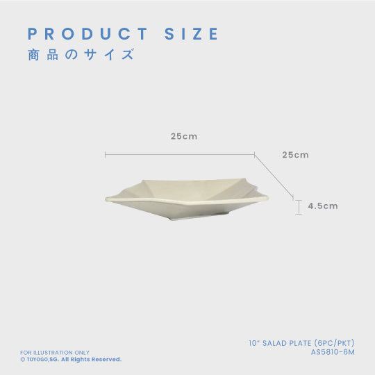 MIKA 10INCH SALAD PLATE 6S (AS5810-6)
