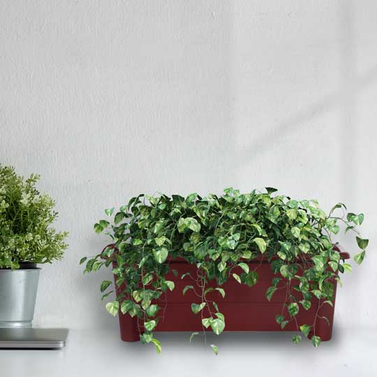 FORUMO RECT GAREN POT - S (GP2936)