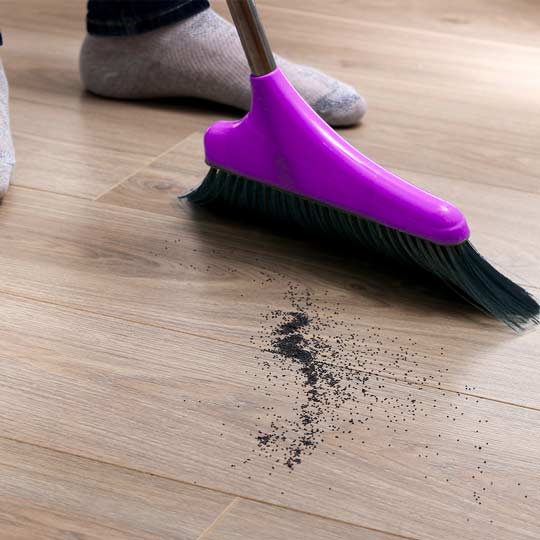 DUSTPAN W BROOM SET HD-905 (HFH1145)